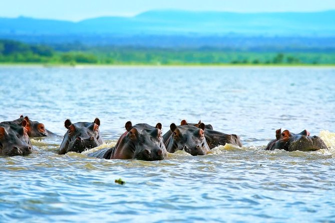 Private Tour to Mount Longonot and Optional Boat Ride on Lake Naivasha - Mount Longonot Hike: Summit Views and a Real Exercise Test