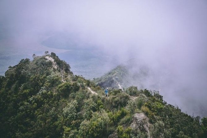 Private Tour to Mount Longonot and Optional Boat Ride on Lake Naivasha - The Summit Moment: What You Are Actually Looking For
