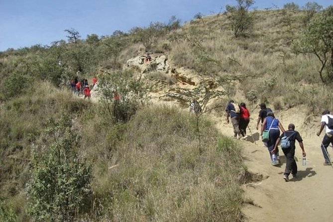 Private Tour to Mount Longonot and Optional Boat Ride on Lake Naivasha - Price and Value: Why $125 Can Make Sense