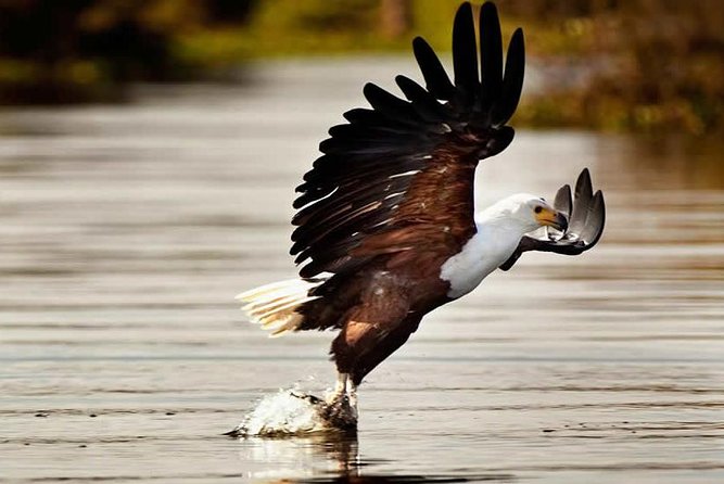 Private Tour to Mount Longonot and Optional Boat Ride on Lake Naivasha - Nairobi Pickup and the Rift Valley Viewpoint Stop