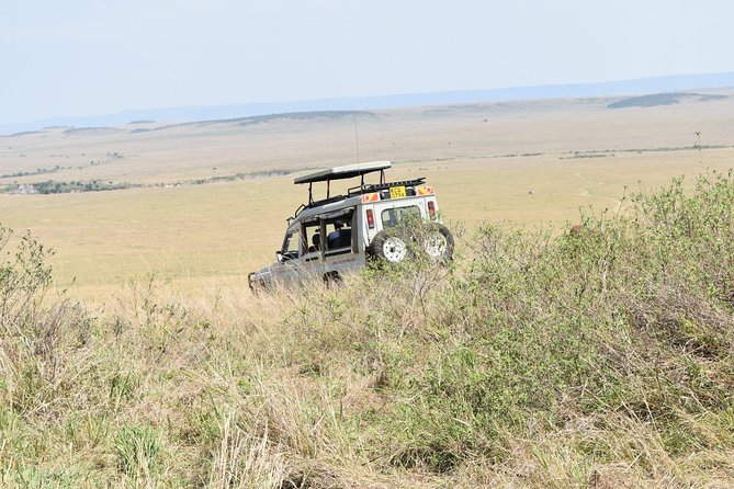 Private Transfer from Nairobi Airport or city To Maasai Mara By Road - The Rift Valley Viewpoint Stop: Short Break, Big Photo Payoff