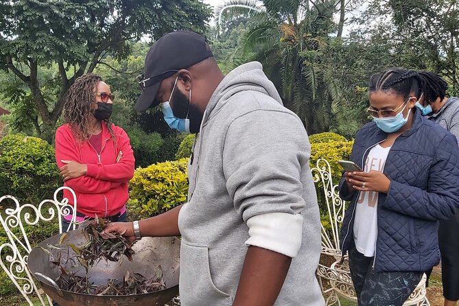 Purple Tea Farm Tour from Nairobi City - Specialty Tea Tasting - Tea Picking With Your Own Hands, Including Purple Leaves