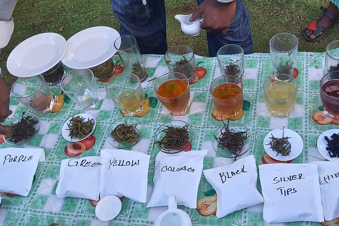 Purple Tea Farm Tour from Nairobi City - Specialty Tea Tasting - Three-Course Lunch That Actually Feels Like a Meal