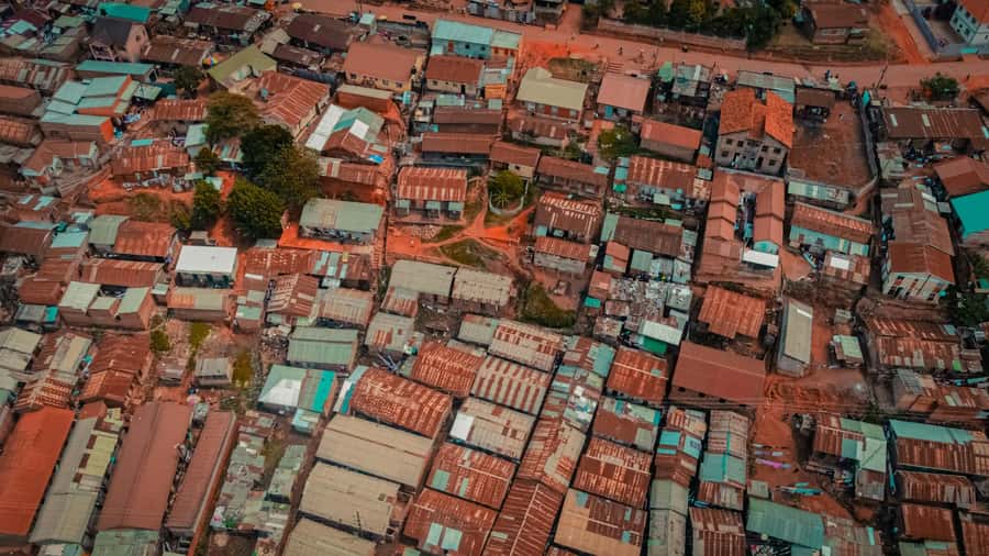 Rent A Local - Key highlights you should know before you go