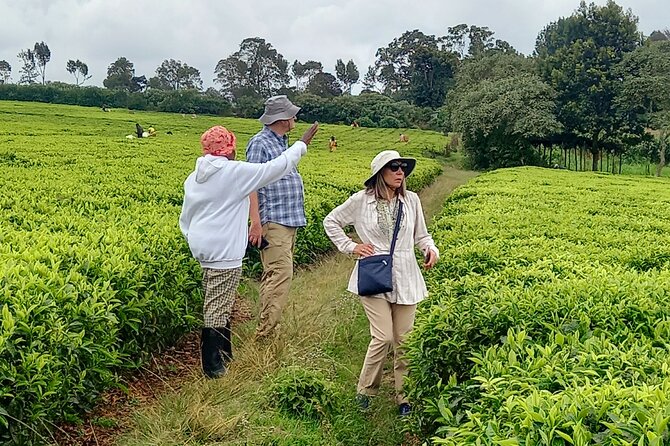 Riara tea farm tour with lunch and tea tasting from Nairobi - Lunch on the Farm, Plus Tea Tasting Ceremony