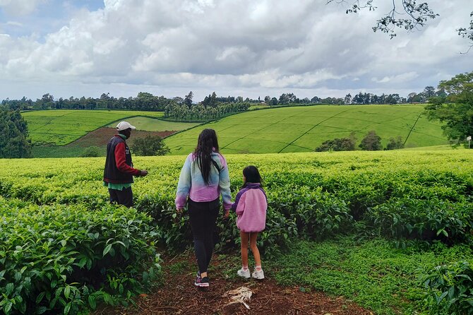 Riara tea farm tour with lunch and tea tasting from Nairobi - The Human Factor: Guides and What the Reviews Emphasize