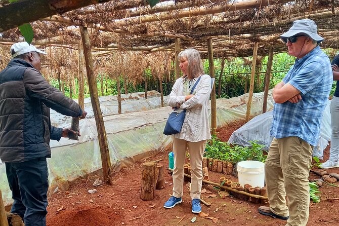 Riara tea farm tour with lunch and tea tasting from Nairobi - Nairobi National Museum, Art Stops, and Two Rivers Mall