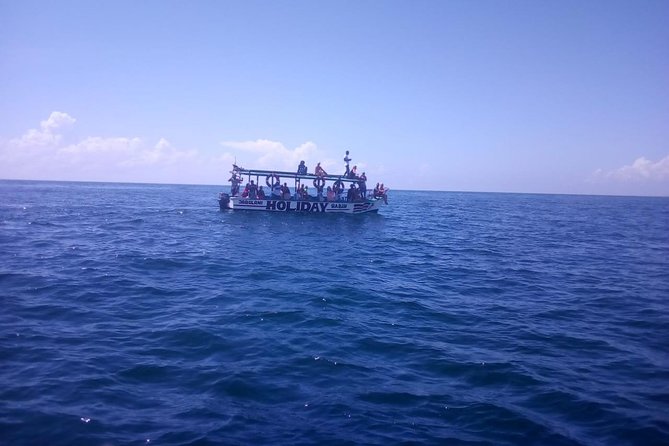 Safari blue - A Watamu boat day with dolphins as the main plot