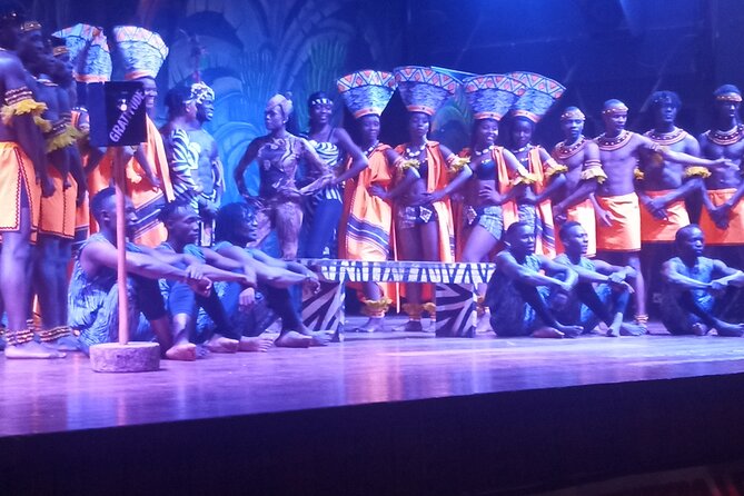 Safari Cat Dancers Show And Dinner - Drinks, heat, and the small practical choices that matter