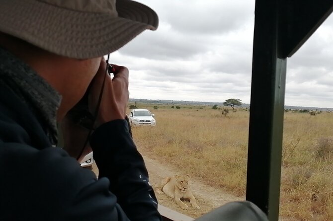 Safari In Nairobi Kenya National Park Half day Tour - Big Five odds, with an honest time limit