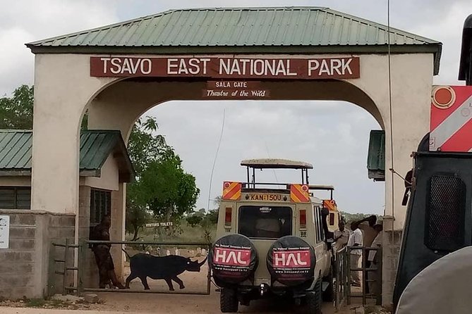 Safari Kenya with Patrick - What you should really pack for Tsavo and night safari hours