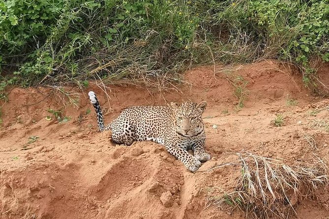 Safari Kenya with Patrick - Who this safari suits best