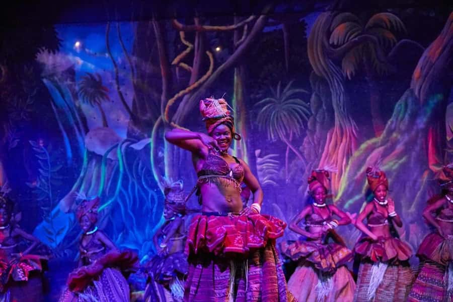 Safari Park Hotel Show & Dinner Experience In Nairobi Tour - How the Safari Cats show works in Nairobi, step by step