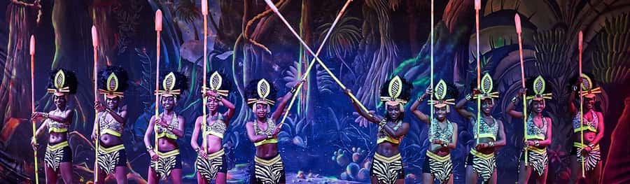 Safari Park Hotel Show & Dinner Experience In Nairobi Tour - Tickets, timing, and getting through the night without stress