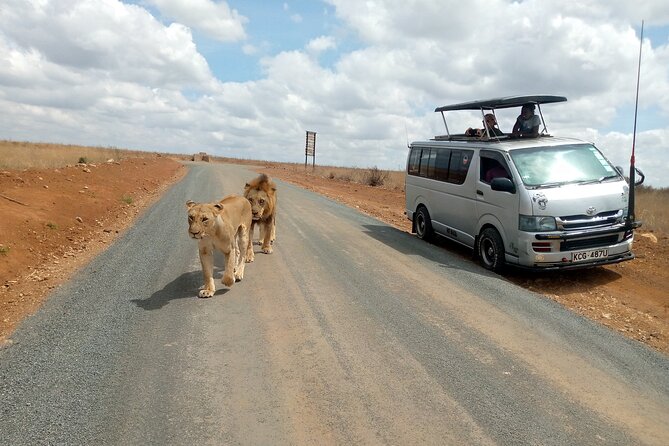 Safari Tour; Nairobi National Park - Open-Top Van + Max 15 People: Better Views, Less Stress