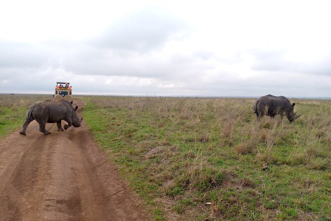 Safari Tour; Nairobi National Park - The Most Common Frustrations, and How You Can Avoid Them