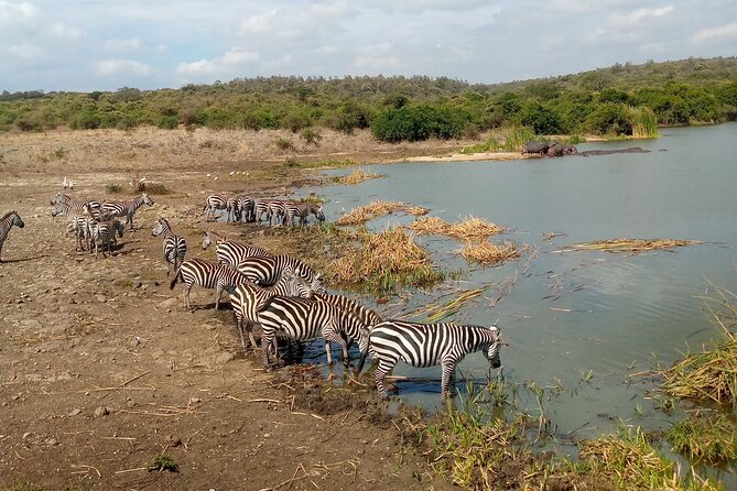 Safari Tour; Nairobi National Park - Where the Safari Fits in Your Nairobi Plan