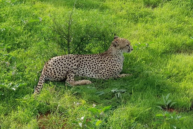 Safari-Tsavo east national park -2 days 1 night - Tsavo East from Malindi and Watamu: why this safari format works