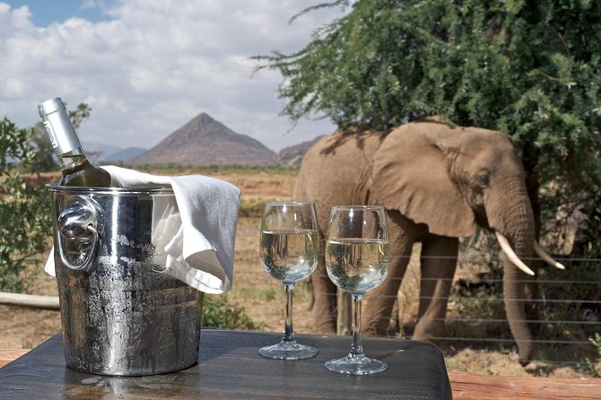 Samburu/ Aberdare/ Lake Nakuru/ Masai Mara 7 Days Safari - Aberdare National Park Transfer Day: Forest Wildlife and Lodge Waterhole Watching