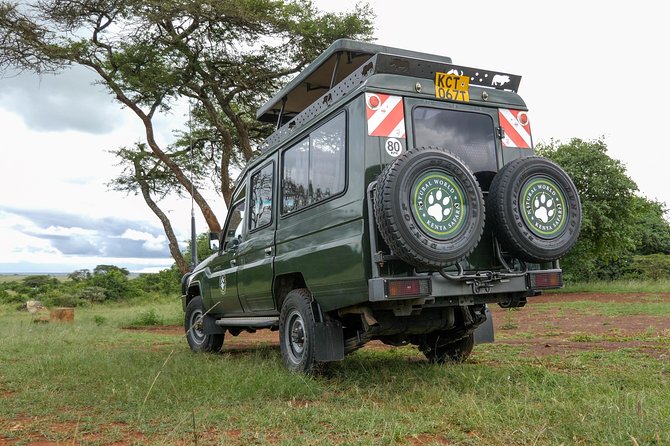 Samburu, Lake Nakuru & Masai Mara 6 Days Private 4x4 Jeep Safari - Lake Nakuru: Birds, Black and White Rhinos, and Rift Valley Drama