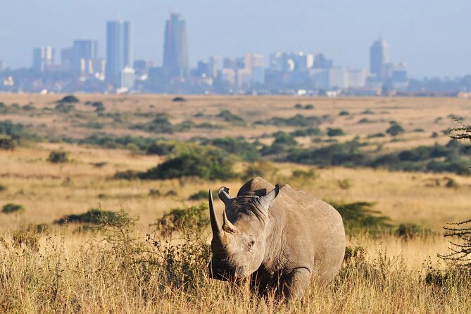 Shared Nairobi National Park Safari Tour - Quick Highlights I’d Use To Decide