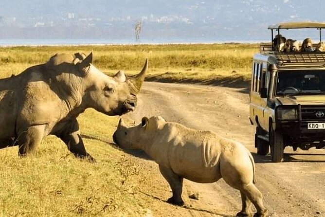 Shared Nairobi National Park Safari Tour - Why Nairobi National Park Works So Well for a Half-Day Safari