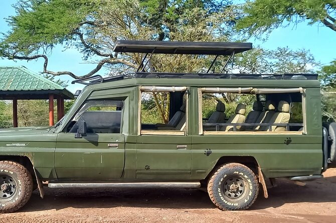 Shared Nairobi National Park Safari Tour - Why 5 Hours Is the Right Length (and How to Use It)