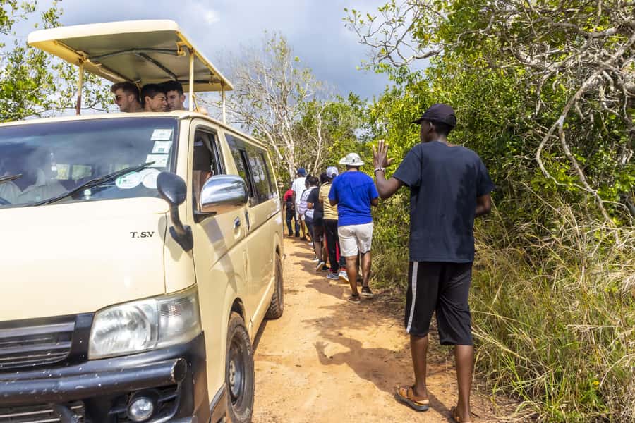 Shimba Hills Day Safari & Sheldrick Falls Hike Private Tour - Private-vehicle comfort and the value of a structured day