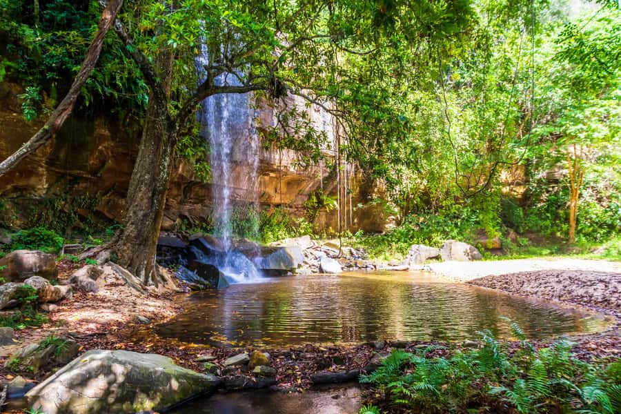 Shimba Hills Day Safari & Sheldrick Falls Hike Private Tour - The Shimba Hills game drive: what you can realistically hope to see
