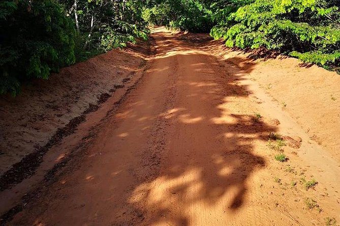 Shimba Hills Excursion - Key highlights to know before you go