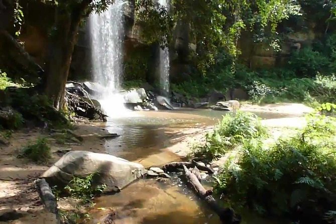 Shimba Hills Excursion - Shimba Lodge in the forest clearing: views, food, and that tree-lodge feeling