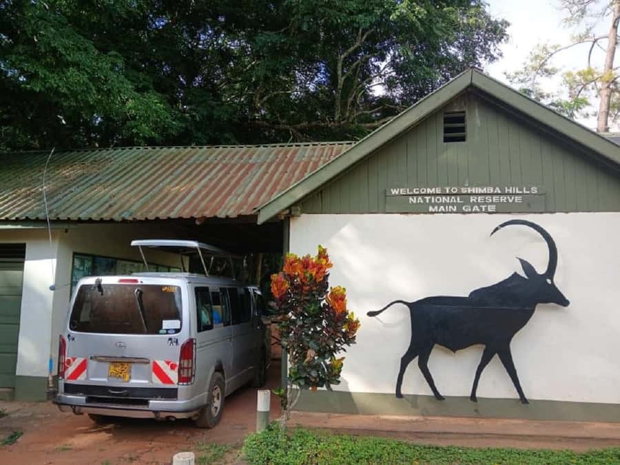 Shimba Hills: Game Drive, Waterfall Hike, and Lunch - Key Things I’d Not Skip