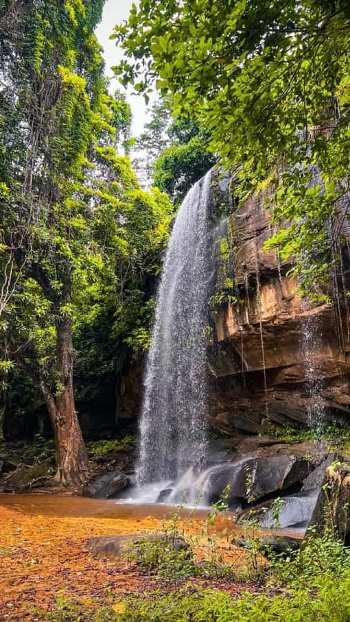 Shimba Hills: Game Drive, Waterfall Hike, and Lunch - Entering Shimba Hills: Tickets, Rangers, and What the Reserve Is Like