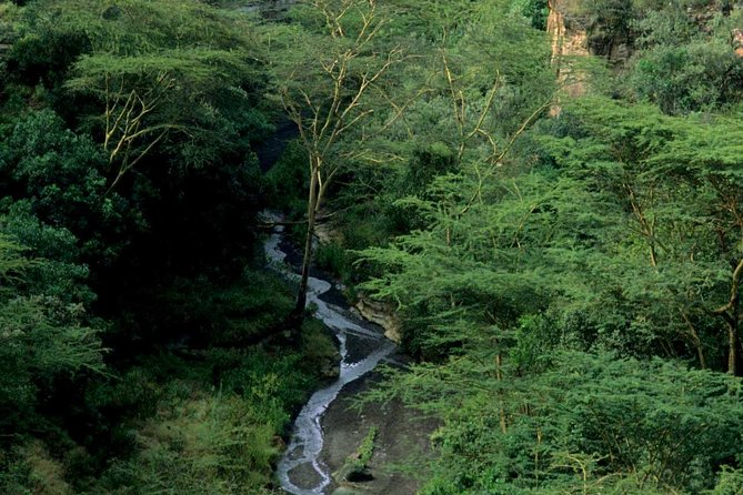 Small Group Budget Tour to Hells Gate National Park and Lake Naivasha Boat Ride - What if you cannot bike the whole way?