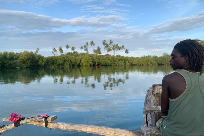 Sunset Canoe Tour on a River within the Mangroves - Key things you will notice right away