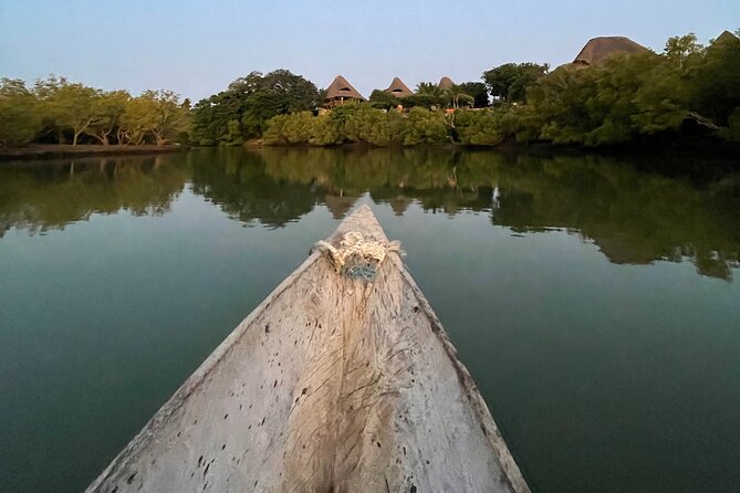 Sunset Canoe Tour on a River within the Mangroves - Why a sunset mangrove canoe tour works so well in Diani