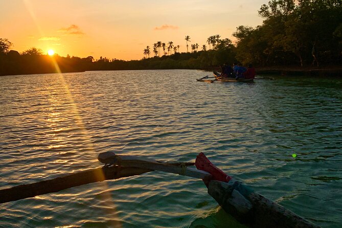 Sunset Canoe Tour on a River within the Mangroves - The impact side: local jobs, cleaner water, and community support