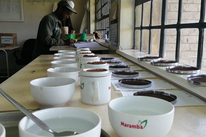 Tea Farm Experience at Riara Tea Farm And Factory Tour - The factory visit: how tea becomes quality-checked tea
