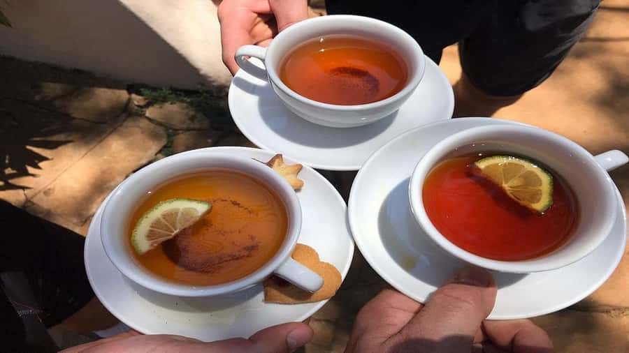 Tea Farm Tour From Nairobi (Kiambethu). - Indigenous Forest, Medicinal Plant Stories, and Garden Bird Life