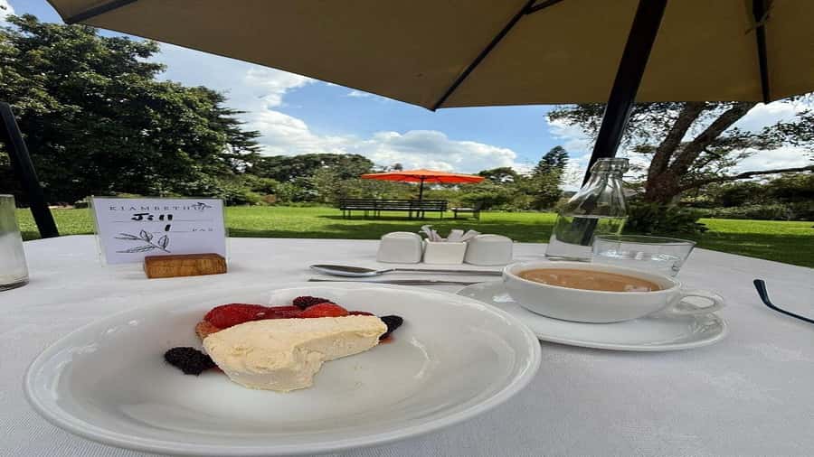 Tea Farm Tour From Nairobi (Kiambethu). - Tea-Making Process, Tea Tasting, and the Hands-On Part