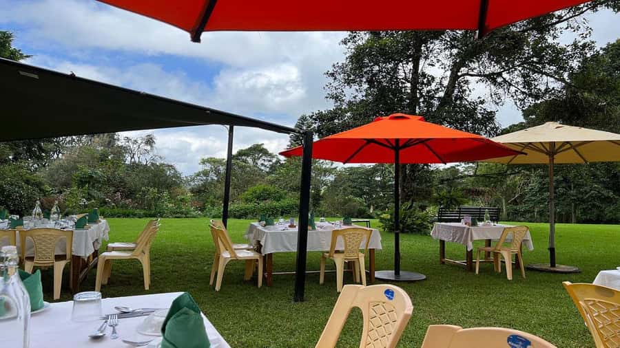 Tea Farm Tour From Nairobi (Kiambethu). - Should You Book Kiambethu From Nairobi?