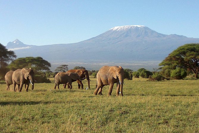 Thrilling 6 Days Amboseli-Lake Nakuru-Maasai Mara Budget Safari - Price and value, what you are really paying for