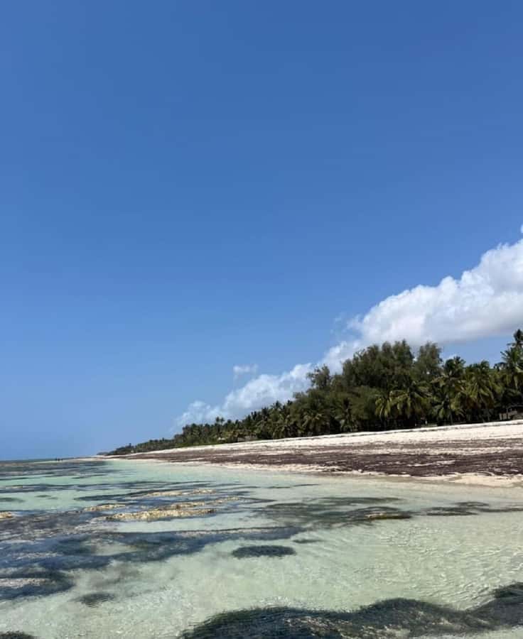 Tiwi Beach: Guided Tour to the African Pool - The Africa Pool: swimming in a place that looks like a map