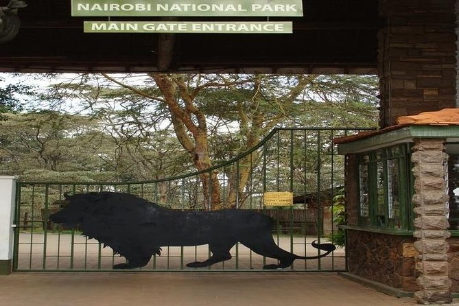 Tour: Giraffe Center and Nairobi National Park - What to expect on the ground: comfort, viewing, and photography