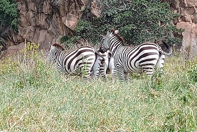 Tour to Hells Gate National park & L Naivasha boat ride - Who this day trip suits best (and who might want a different plan)