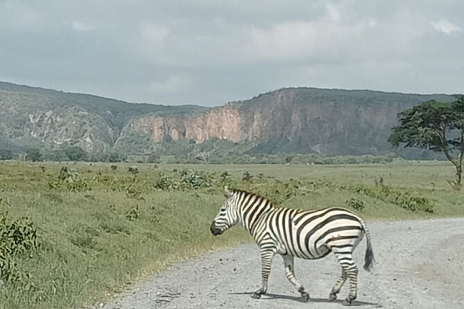 Tour to Hells Gate National park & L Naivasha boat ride - Getting there from Nairobi: the early start and what it buys you
