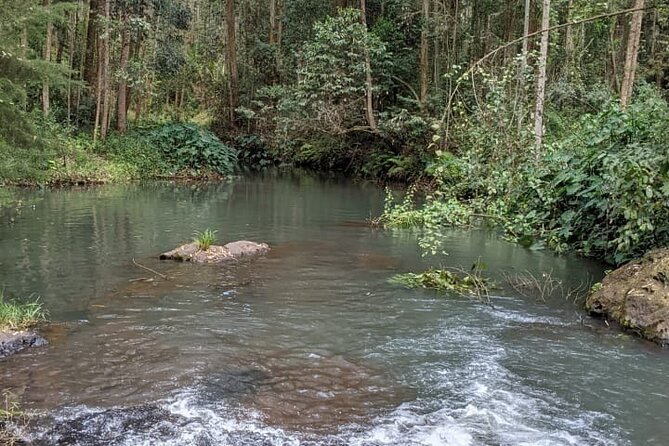 Trip from Nairobi to Muranga with Waterfall Hike and Picnic - Nairobi to Muranga: a half day that swaps city pace for river time
