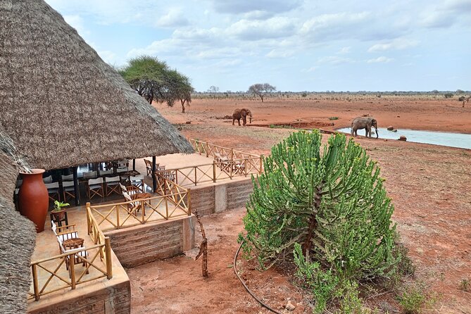 Tsavo East and Ngutuni Sanctuary Safari 3 days from Mombasa - The Day 1 sanctuary game drives: what you might actually see