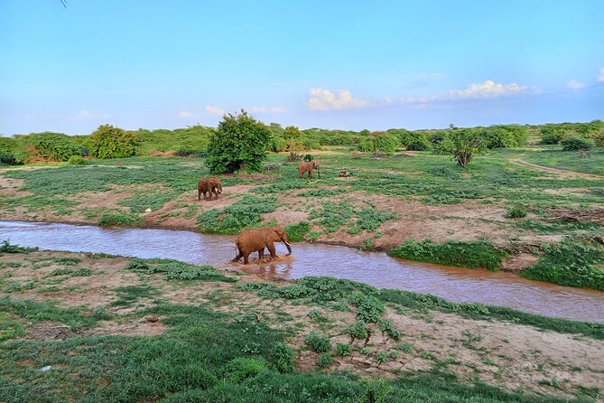 Tsavo East and Ngutuni Sanctuary Safari 3 days from Mombasa - Ngutuni Lodge: what waterhole-front rooms change for your safari days