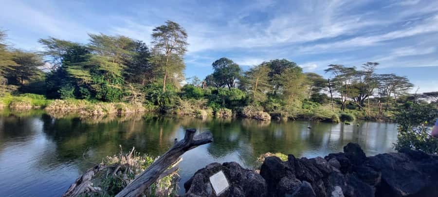 Tsavo East and Tsavo West Sanctuary Safari - Key highlights you will feel fast